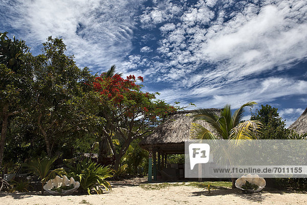 Tropisch  Tropen  subtropisch  Hütte  Strand  klein