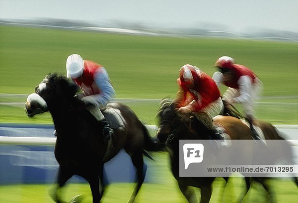 'Horse Racing  Ireland