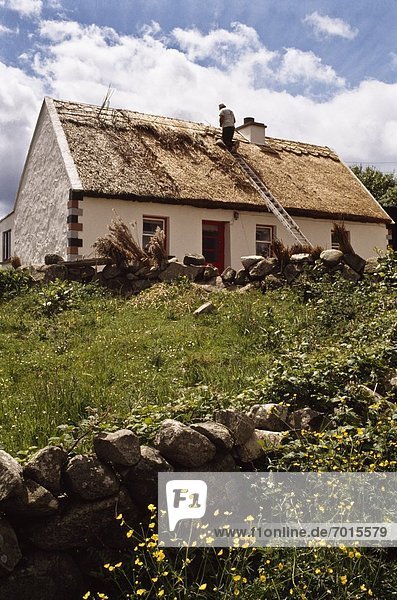 Traditional Thatching  Co Galway