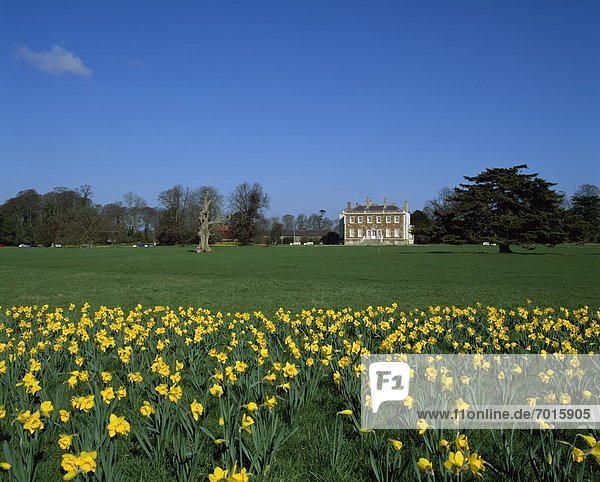Estate And Gardens With Daffodils In Foreground