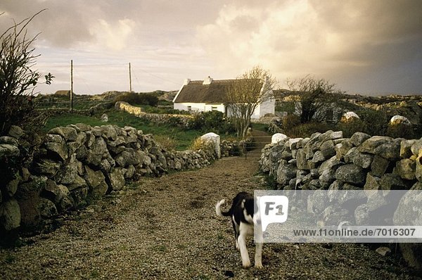 County Galway Irland