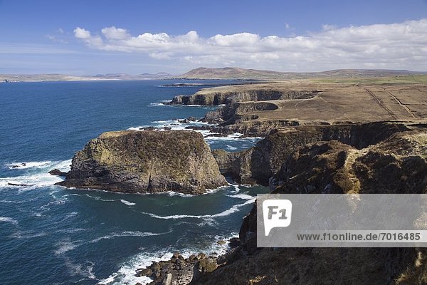 Sea Cliffs And Coastline Near Erris Head  County Mayo  Ireland