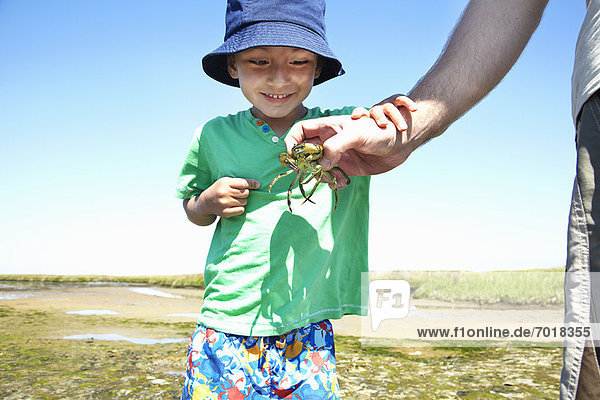Junge untersucht Krabbe in Vaters Hand