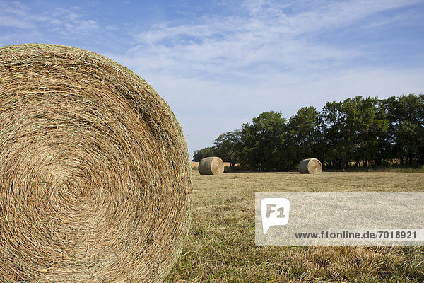 Close up of hay bale in field