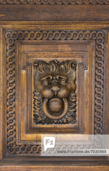 Löwe Panthera leo Holz