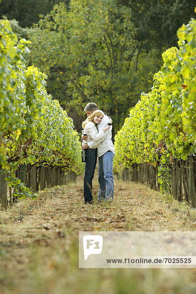 Couple hugging in vineyard  Napa Valley  California  USA