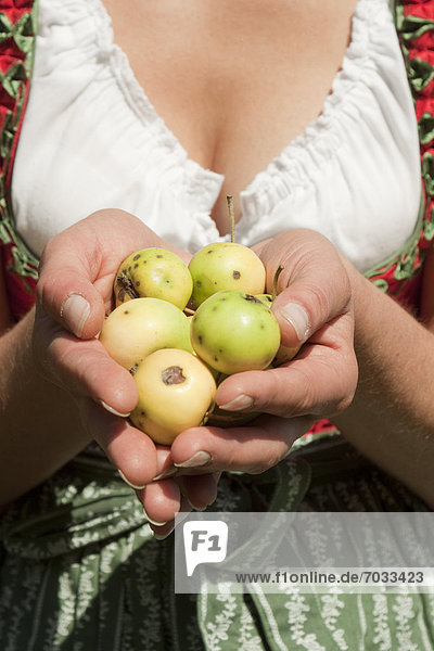 Frau im Dirndl hält Äpfel