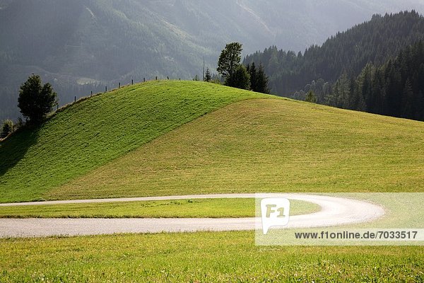 Curvy country road and hill with meadow  Ramsau  Styria  Austria