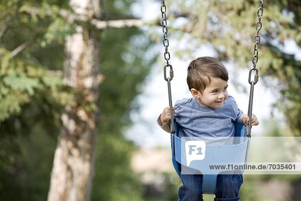 Young Boy In Park Swing