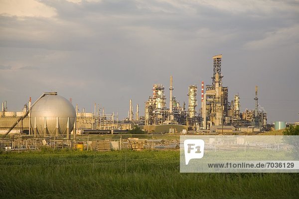 Kraftstofftank  aufbewahren  Personal  Öl  Raffinerie