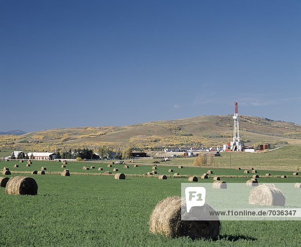 Hay Bales With Oil Rig In Background  Alberta  Canada