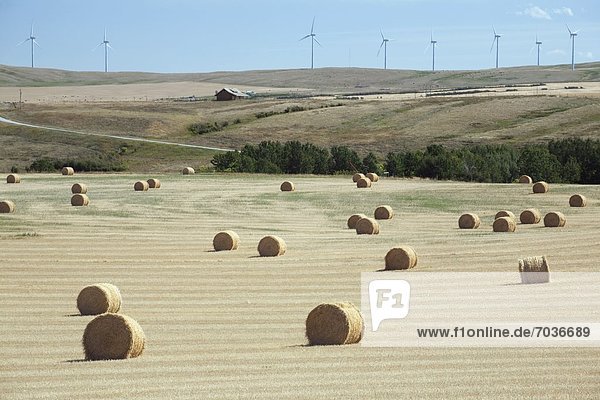 Windturbine  Windrad  Windräder  Hintergrund  Heu  Bündel  Alberta  Kanada