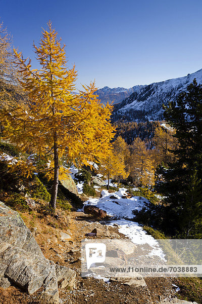 Bergsteiger beim Aufstieg zur Höchster Hütte im Ultental oberhalb vom Wei_brunnsee  Südtirol  Italien  Europa