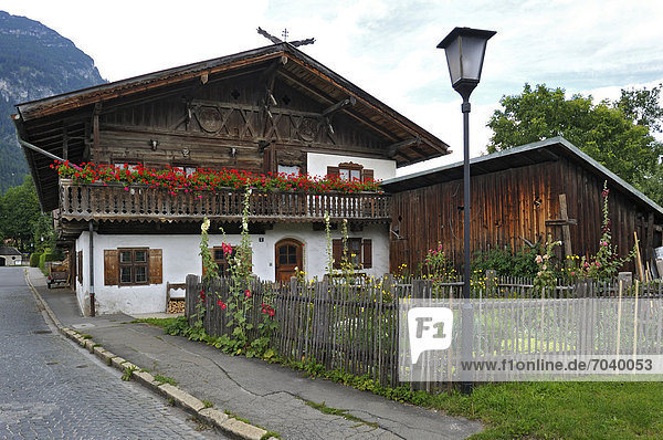 Europa Gebäude Garten Storchschnäbel Rosengeranie Pelargonium graveolens Garmisch Partenkirchen Bayern Deutschland