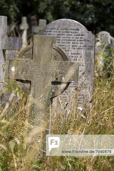 Grabsteine  keltisches Kreuz  Brompton Cemetery  Friedhof  London  England  Großbritannien  Europa