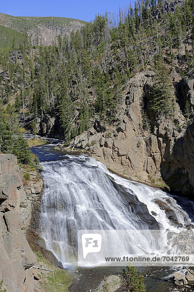 Gibbon Falls oder Gibbon Wasserfall im Yellowstone Nationalpark  Wyoming  USA