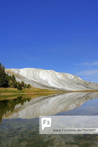 Travertinterrasse Canary Spring spiegelt sich in See  Kalkterasse  Sinterterrasse  Sinter-Terrasse  Kalksinterterrasse  Mammoth Hot Springs  Yellowstone Nationalpark  Wyoming  USA