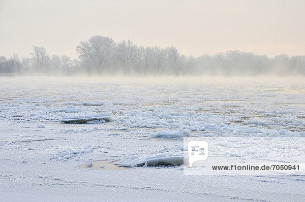 Schnee und Eis auf der Elbe  kalter Wintermorgen  bei Dessau-Roßlau  Sachsen-Anhalt  Deutschland  Europa