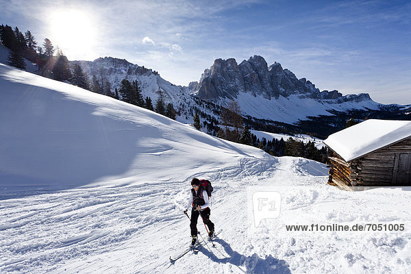 Cross-country skier near Woerndle Loch Alm alpine pasture  during the ascent to Zendleser Kofel Mountain in the Villnoess Valley above Zanser Alm  looking towards the Odle Mountain Group with Sass Rigais Mountain  Alto Adige  Italy  Europe