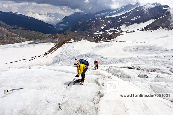Mountain climbers setting a safety peg while walking on the flank of Zufallferner Glacier in the Martell Valley above Marteller Huette hut  Alto Adige  Italy  Europe