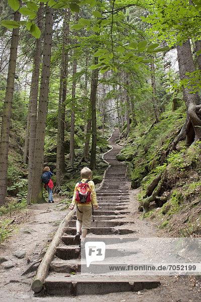 Treppe zu den Schwedenlöchern bei Rathen  Sächsische Schweiz  Sachsen  Deutschland  Europa