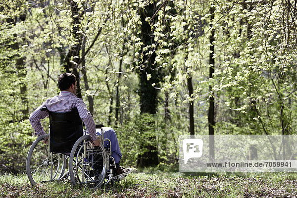 Laubwald  sitzend  Mann  Rollstuhl