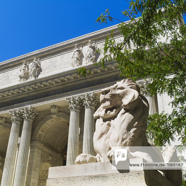 New York Public Library