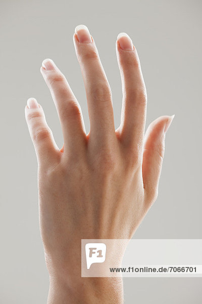 Feminine Hand