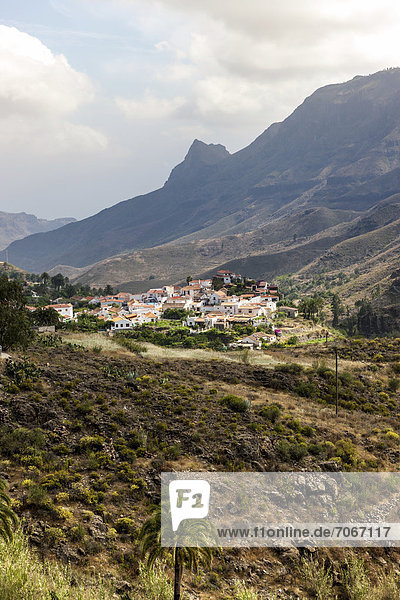Mountain village of Molino de Fataga  Gran Canaria  Canary Islands  Spain  Europe  PublicGround