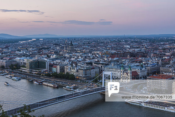 Aussicht von der Zitadelle auf die Stadt  Stadteil Pest  Elisabethbrücke  Blaue Stunde  Dämmerung  Budapest  Ungarn  Europa
