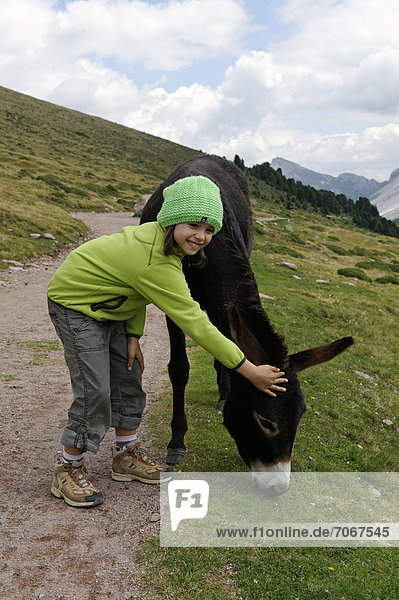 Mädchen streichelt einen Esel bei einer Wanderung  Raschötz bei St. Ulrich  Grödnertal  Südtirol  Alto Adige  Italien  Europa