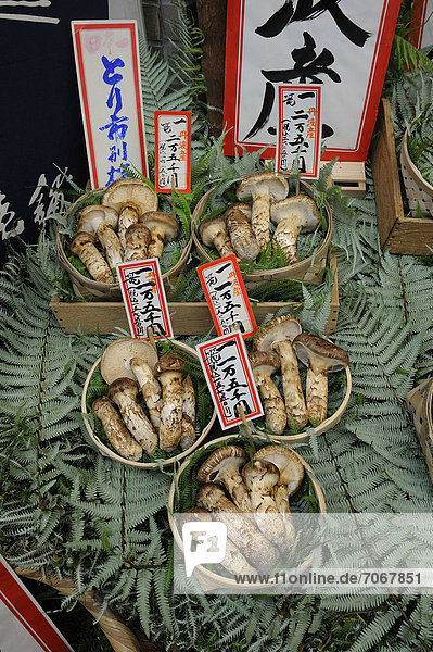 A gourmet food store offering bamboo shoots and mushrooms  including matsutake  pine mushrooms (Tricholoma matsutake)  very expensive mushrooms  Teramachi-Dori shopping street  Kyoto  Japan  East Asia  Asia
