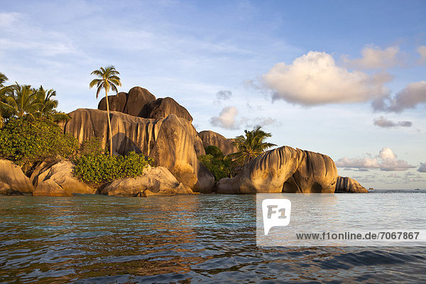 Granite cliffs and coconut palms in the evening light at Point Source d'Argent  La Digue Island  Seychelles  Africa  Indian Ocean
