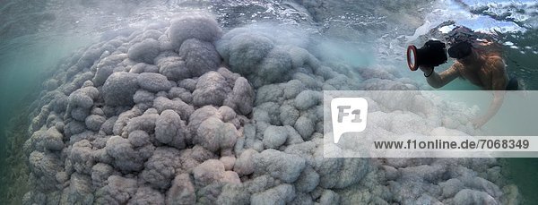 Mann fotografiert Salz-Formationen über Felsen im Toten Meer  Israel  Unterwasseraufnahme Unterwasseraufnahme