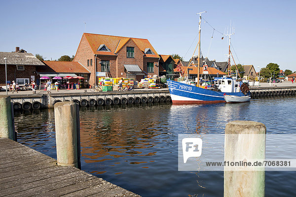 Fishing boat in the port of Maasholm  Schleswig-Holstein  Germany  Europe