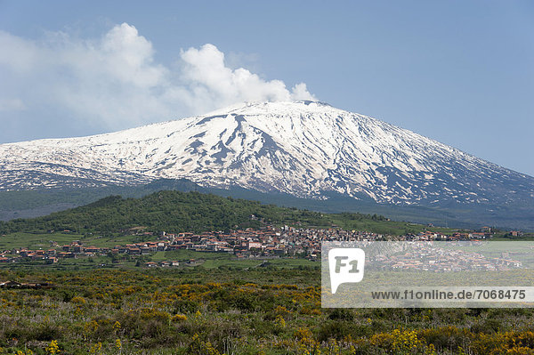 Mount Etna  Maletto  province of Catania  Sicily  Italy  Europe