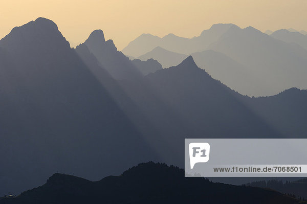 Mountain panorama in the early morning  Geisshorn Mountain  Tannheim Valley  Tyrol  Austria  Europe