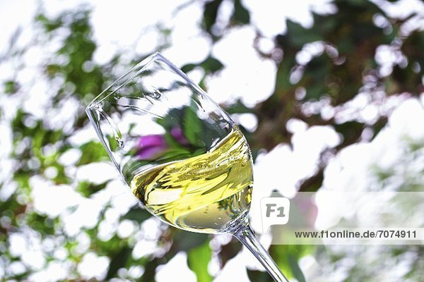 Ein Glas Weisswein wird vor einem frühlingshaften Hintergrund geschwenkt