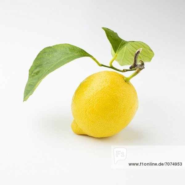 A lemon with a stem and leaves