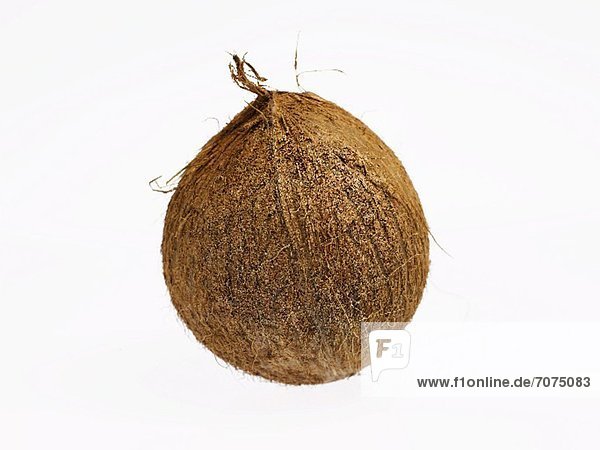 Eine Kokosnuss auf weissem Grund