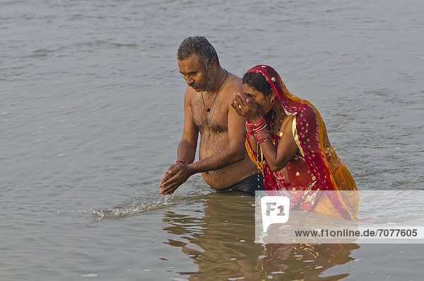 Zwei Pilger beten im Wasser am Sangam  dem Zusammenfluss der heiligen Fl¸sse Ganges  Yamuna und Saraswati  Allahabad  Indien  Asien