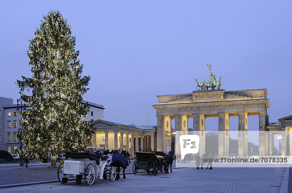 Brandenburg Gate and a Christmas tree  Advent season  Pariser Platz square  Berlin  Germany  Europe