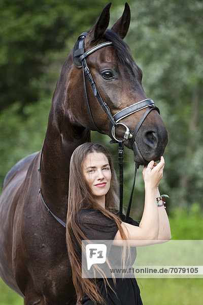 Young woman standing with a Hanoverian horse  bay  North Tyrol  Austria  Europe