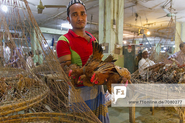 Händler hält vier H¸hner in die Luft  New Market  Dhaka  Bangladesch  S¸dasien