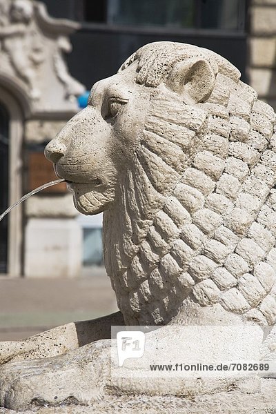 Budapest Hauptstadt Springbrunnen Brunnen Fontäne Fontänen Löwe Panthera leo Fotografie Schädling Mittelpunkt Zierbrunnen Brunnen Ungarn