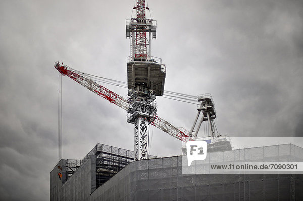 Kranich  bauen  Großstadt  Tokyo  Hauptstadt  groß  großes  großer  große  großen  Turmkran  Ortsteil  Omotesando