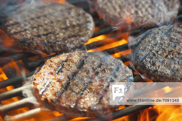 USA  Texas  Burger patties on barbecue grate