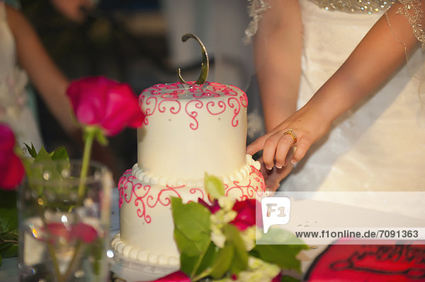 USA  Texas  Young bride cutting wedding cake