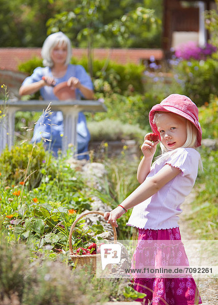 Girl picking starwberries in garden  mature woman in background