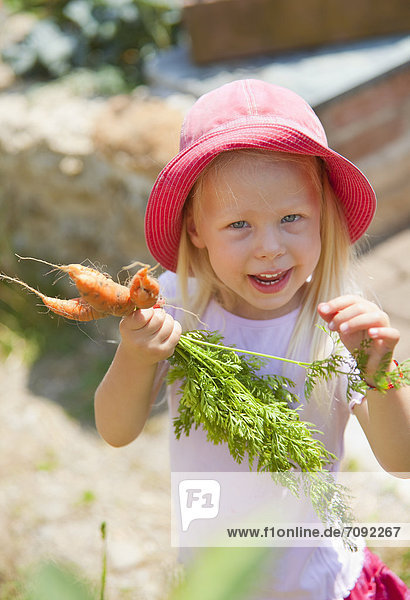 Mädchen pflücken Karotten im Garten